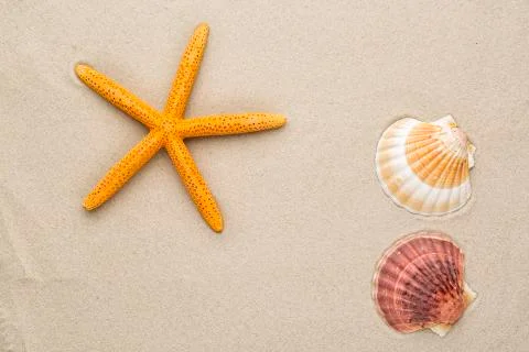 Starfish Stock Photos