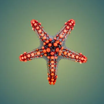 Starfish Stock Photos
