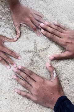 Starfish Stock Photos