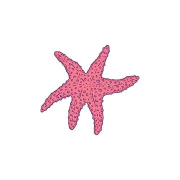 Starfish pink. Vector wild ocean animal mollusk underwater life doodle line Stock Illustration