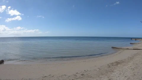 Starfish Point 1 Stock Footage 261193024