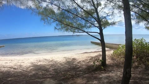 Starfish Point 2 Stock Footage 261193168