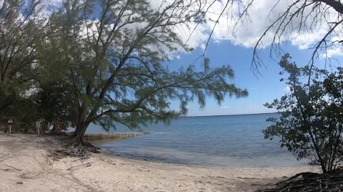 Starfish Point 3 Stock Footage 261193212