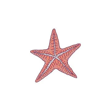 Starfish red. Vector wild ocean animal mollusk underwater life doodle line Illustrazione stock