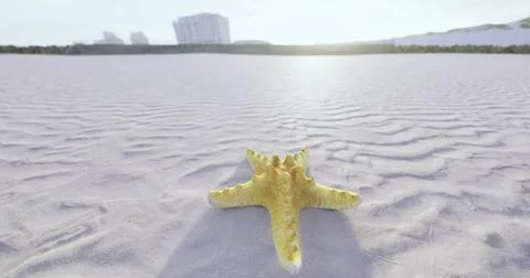 Starfish resting on serene beach with distant buildings at sunset Ilustración de archivo