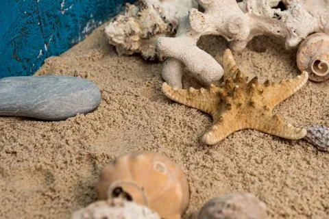 Starfish on rustic background next to sea snails some rocks and water or sand, Stock Photos
