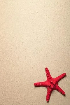 Starfish On Sand Stock Photos