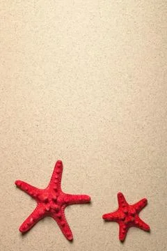Starfish On Sand Stock Photos