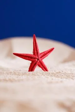 Starfish On Sand Stock Photos