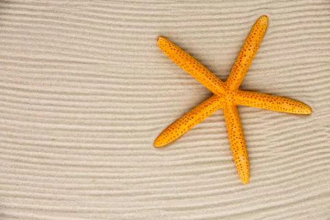 Starfish on sand Stock Photos
