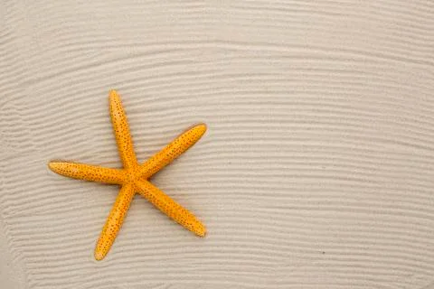 Starfish on sand Stock Photos