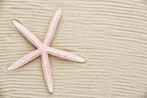 Starfish on sand Stock Photos