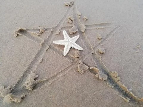 Starfish on a sand surface Stock Photos