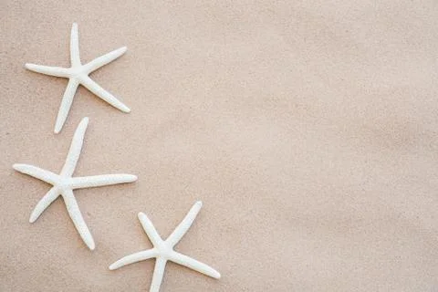 Starfish on Sandy beach background background for summer holiday and vacation Stock Photos