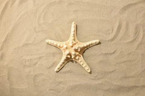 Starfish on Sandy Beach Background Foto stock