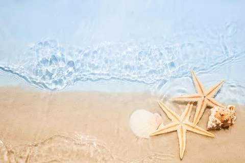 Starfish on Sandy Beach. Two starfish, seashells on a serene beach with clear Foto stock