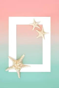 Starfish Seashell Abstract Decorative Background Frame Stock Photos