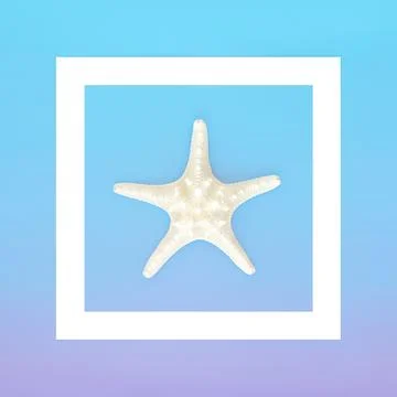 Starfish Seashell Decorative Abstract Background Frame Stock Photos