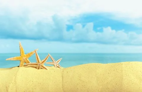 Starfish seashells on the Beach Stock Photos