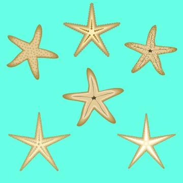 Starfish, a set of six options Stock Illustration