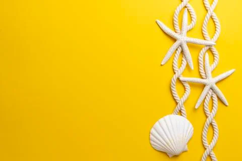 Starfish, shell and rope on a plain yellow background Stock Photos