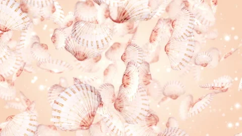 Starfish Shell Background Abstraction Looped Video Видео 151251508