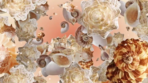 Starfish Shell Background Looped Video Stock Footage 150732470