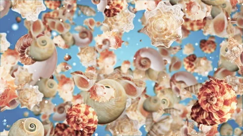 Starfish Shell Background Looped Video Stock Footage 151011404