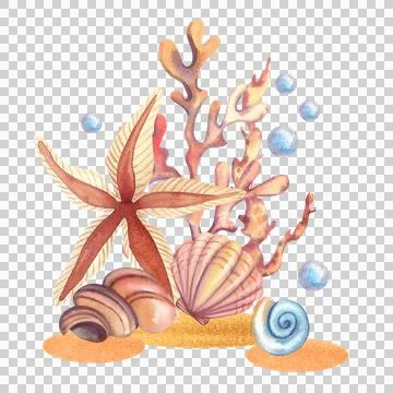 Starfish with shells and corals, isolated. Hand-drawn watercolor illustration Illustrazione stock