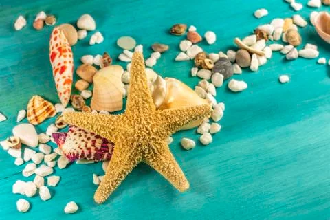 Starfish, shells, and pebbles on vibrant turquoise background 写真素材