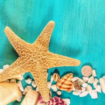 Starfish, shells, and pebbles on vibrant turquoise background Foto stock