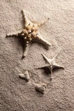 Starfish shells and shells eroded and worn down to heart shape on sand Stock Photos