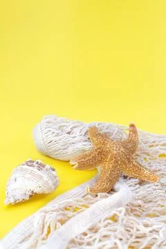 Starfish, shells with bag string, fishnet on yellow background Stock Photos