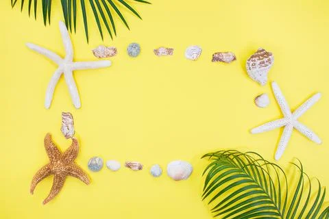 Starfish, shells in form of frame with palm tree on yellow background Stock Photos
