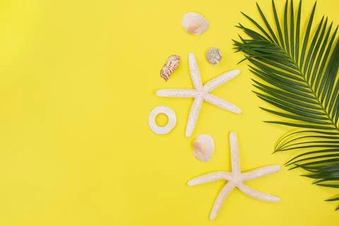 Starfish, shells with palm tree branch in side on yellow background Stock Photos