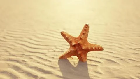 Starfish on the sity beach Illustration