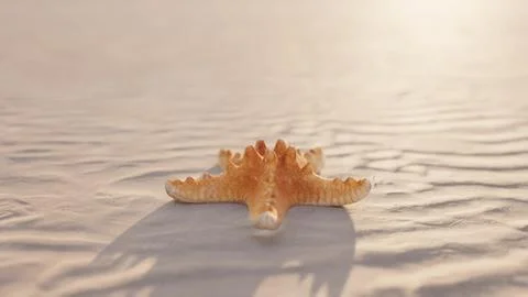Starfish on the sity beach Ilustración de archivo