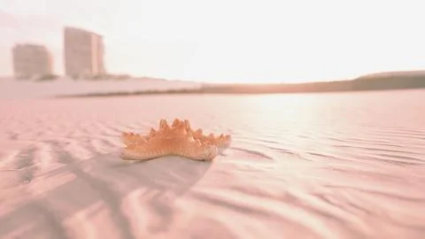 Starfish on the sity beach Stock Illustration