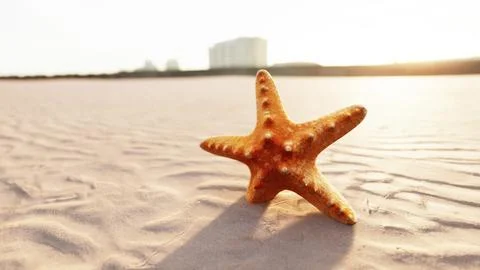 Starfish on the sity beach Stock Illustration