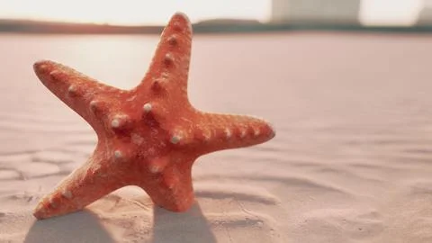 Starfish on the sity beach Ilustración de archivo