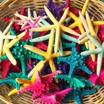Starfish - souvenir Stock Photos