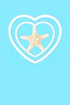 Starfish Summer Seashell Heart Frame Design Stock Photos
