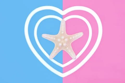 Starfish Summer Seashell Heart Shape Design Stock Photos