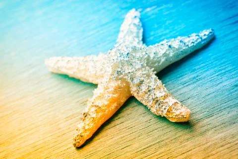 Starfish in the sun Stock Photos