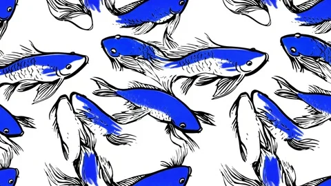 Starfish Trail – Diagonal Motion Stock Footage 306520292