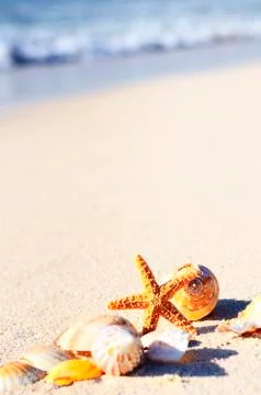 Starfish in vacations Stock Photos