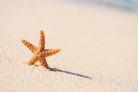 Starfish in vacations Foto stock