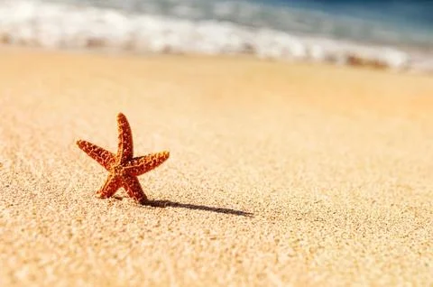 Starfish in vacations Foto stock