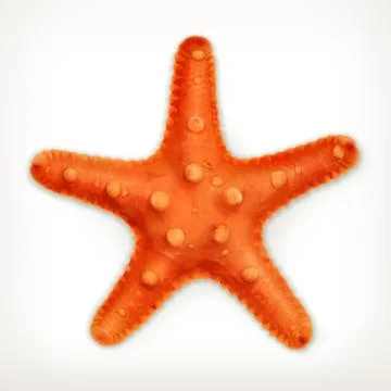 Starfish, vector icon Stock Illustration
