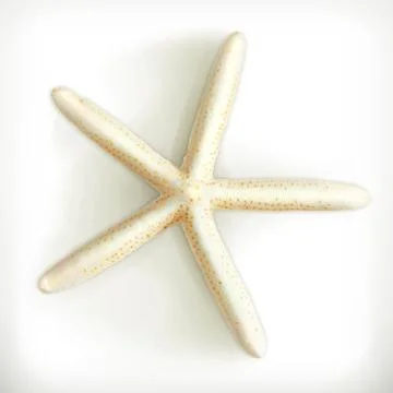 Starfish, vector icon Illustrazione stock